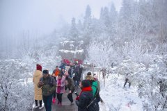 恩施大峡谷景区全体员工扫雪除冰保畅通