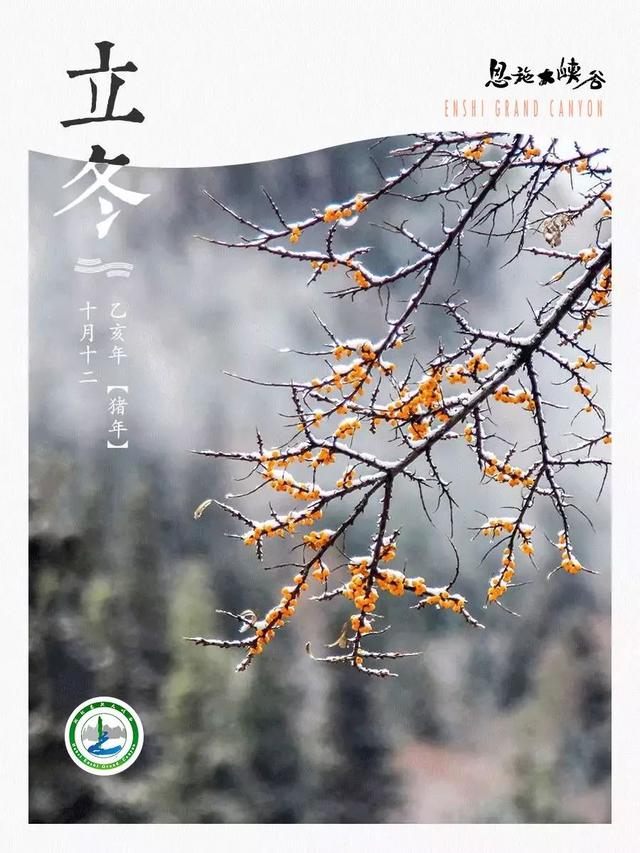 立冬|秋未尽冬已来，不负秋色不负你