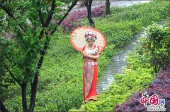 中国网：劳模导游邀劳模 五一，我在恩施大峡谷等你